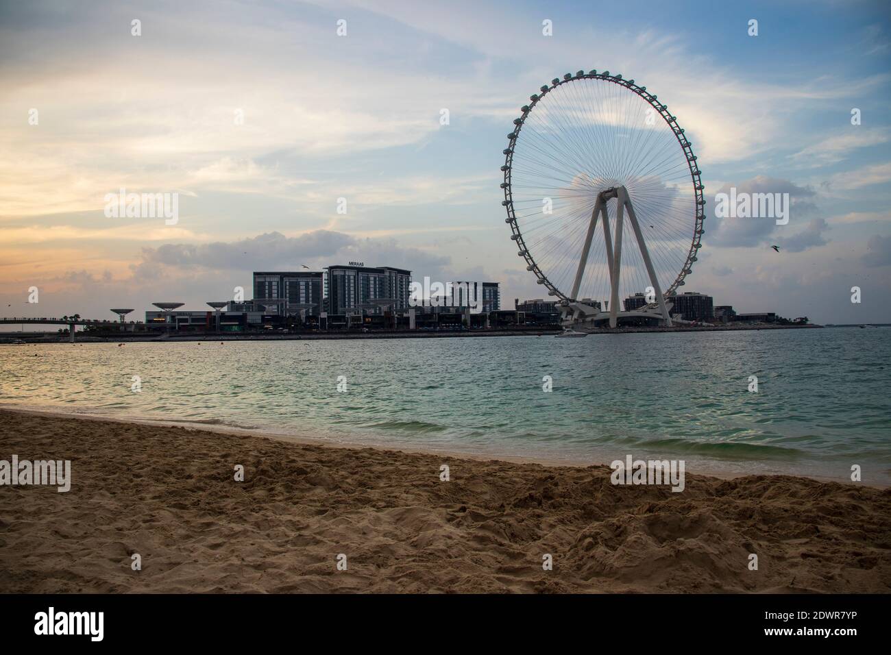 Das höchste Riesenrad der Welt Ain Dubai, in Blue Waters bei Meraas in Dubai, VAE Stockfoto