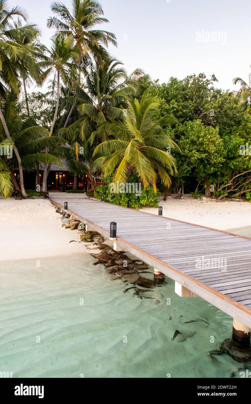 Hölzerne Seaboard führt zu einer tropischen Insel mit üppigen Palmen und weißem Sandstrand, Malediven. Stockfoto