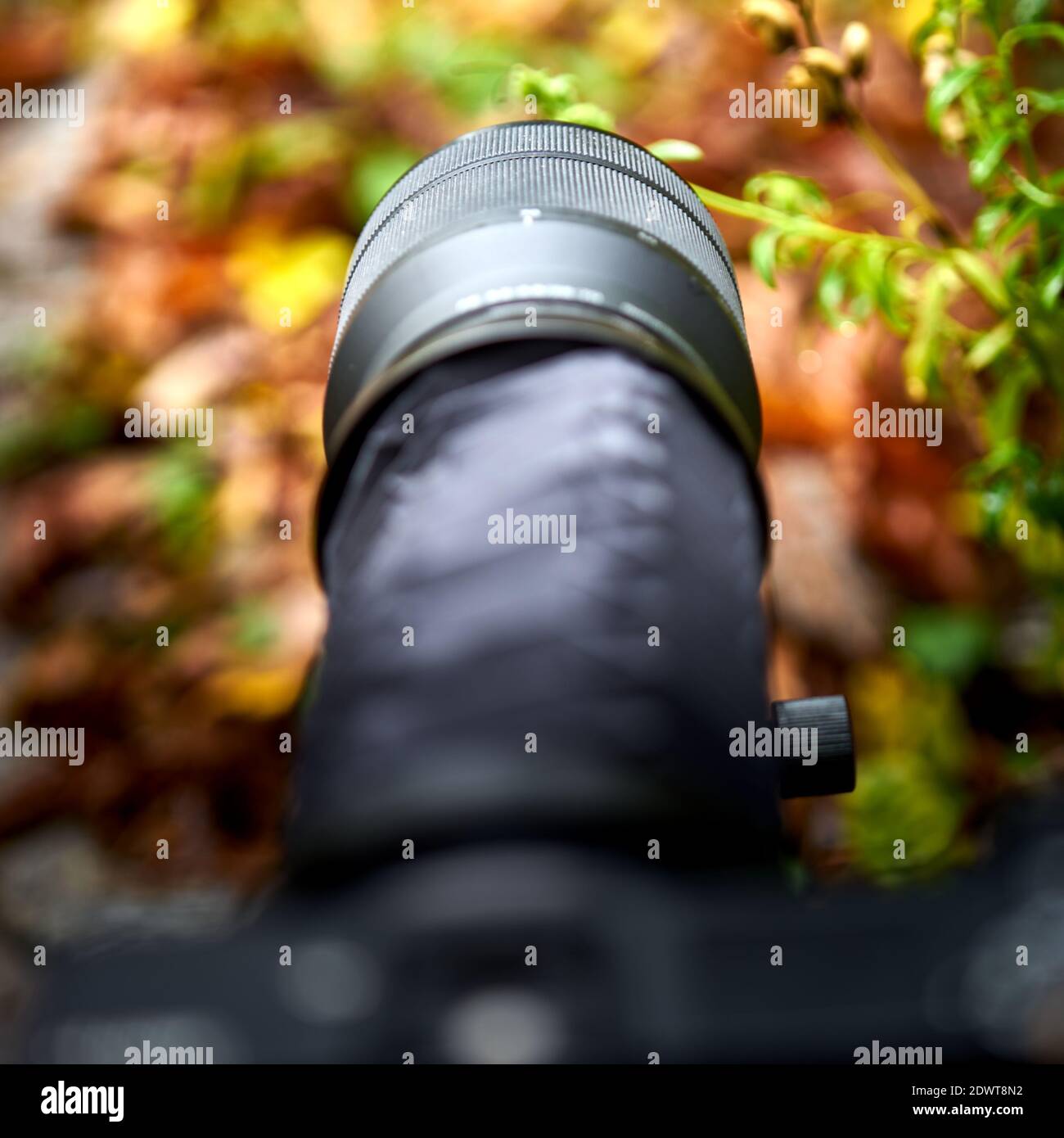 Balgeneinheit auf Einstellschieber mit Zoomobjektiv, Blickrichtung nach vorne, selektiver Fokus auf Objektiv, enge Schärfentiefe Stockfoto