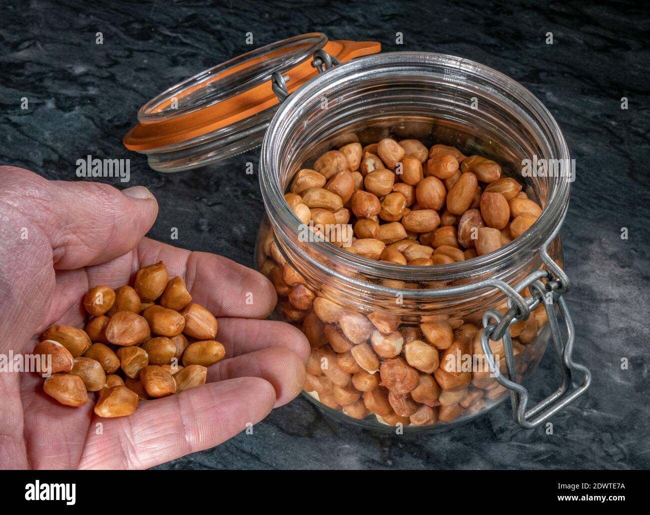 Nahaufnahme der Hand eines Mannes, der rohe Erdnüsse hält (Samenmantel / Schalen intakt), aus einem Glas-Vorratsglas, mit Metallverschluss und luftdichtem Deckel mit Gummidichtung. Stockfoto