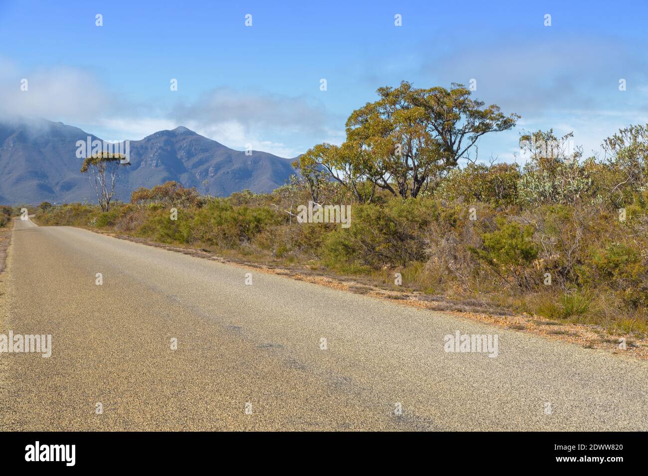Straße im Stirling Range Nationalpark nördlich von Albany in Südwestaustralien Stockfoto