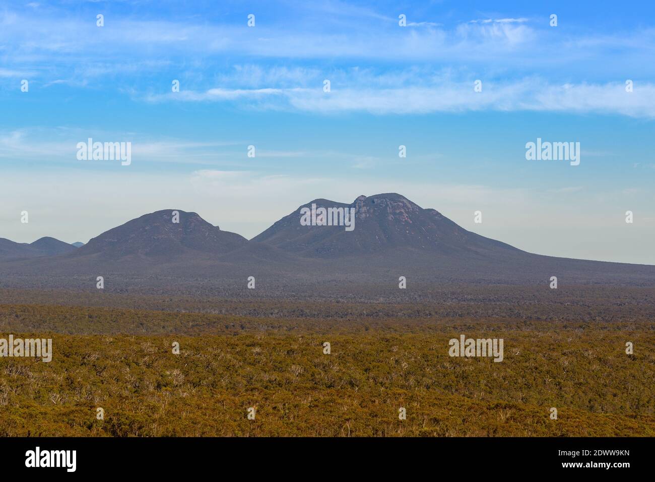 Berge des Stirling Range Nationalparks nördlich von Albany in Südwestaustralien Stockfoto