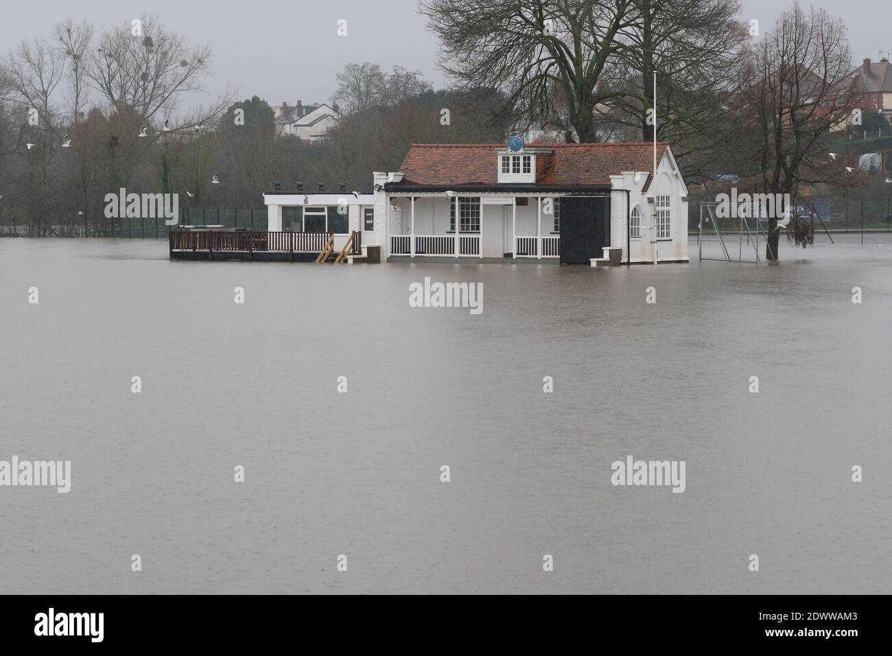 Worcester, Worcestershire, Großbritannien - Mittwoch, 23. Dezember 2020 - EIN Sportpavillion, umgeben von Flutwasser vom Fluss Severn in Worcester. Ein großer Teil des Flusses Severn ist derzeit unter Hochwasserwarnung mit weiteren Regenvorhersagen. Foto Steven May / Alamy Live News Stockfoto