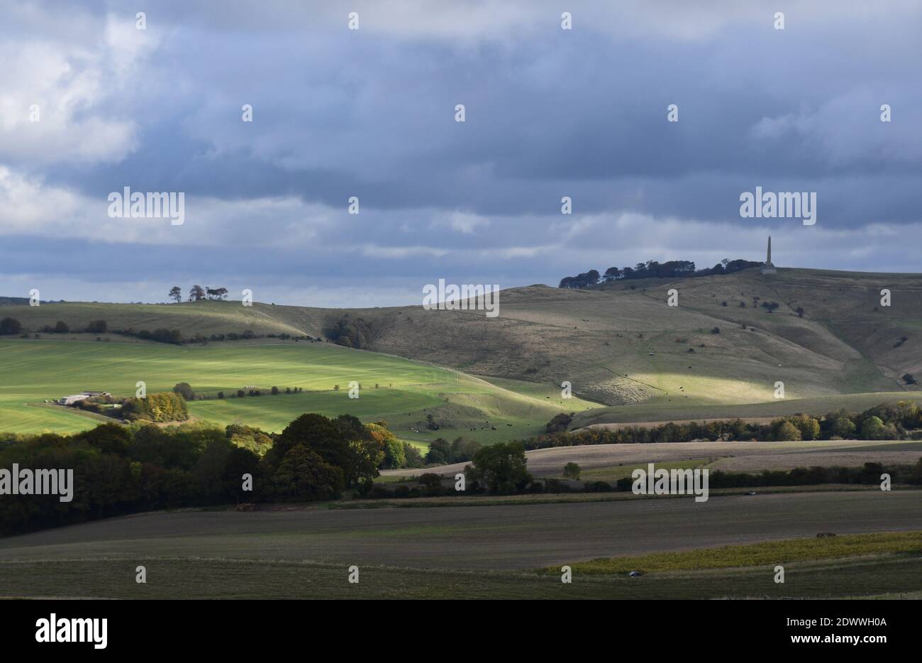 Blick vom Morgans Hill auf das Lansdowne Denkmal auf Cherhill Unten mit Sonne getuckt Downs, Wiltshire.UK Stockfoto