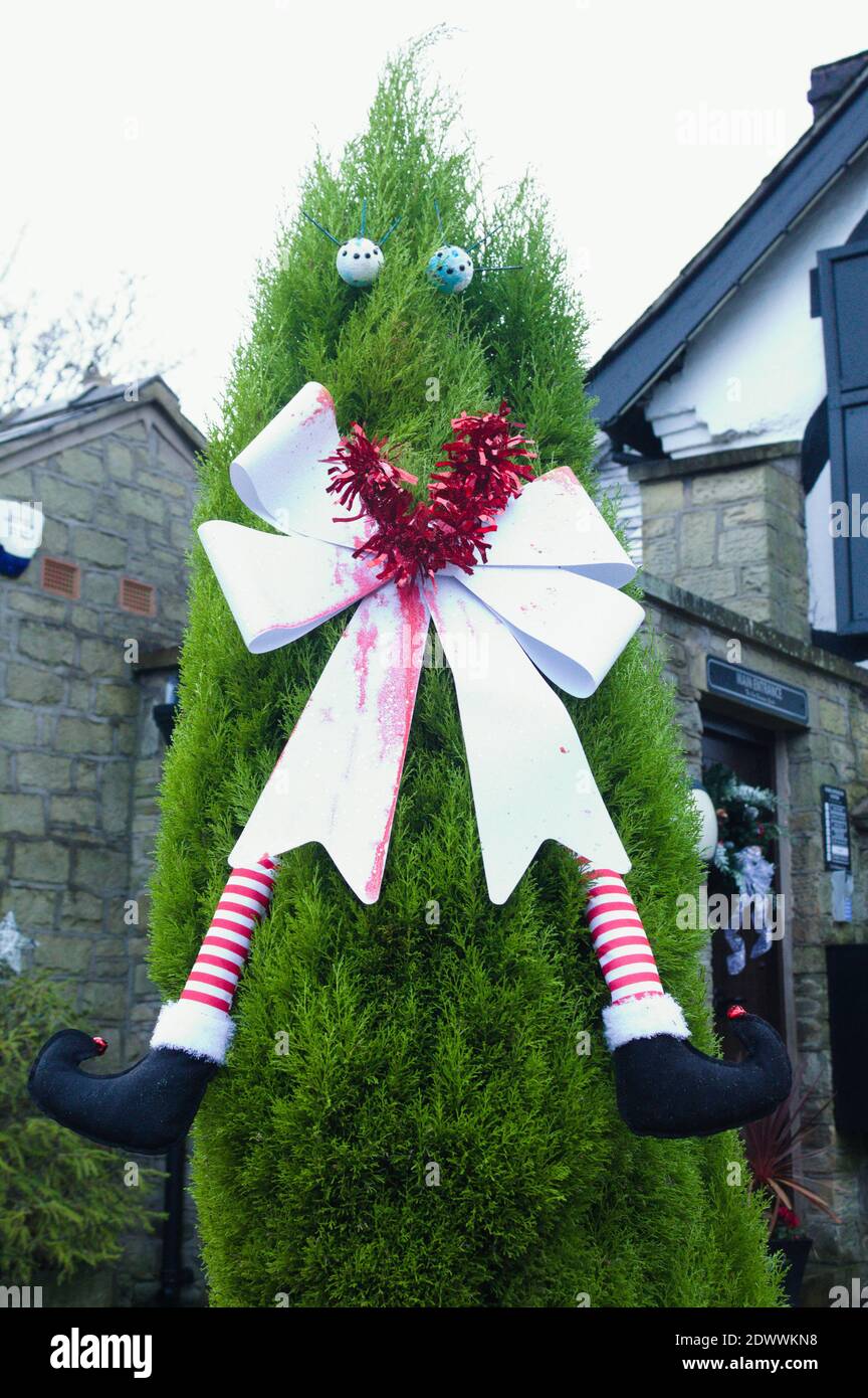 Elfe steckte in einem Weihnachtsbaum außerhalb Dekoration Stockfoto