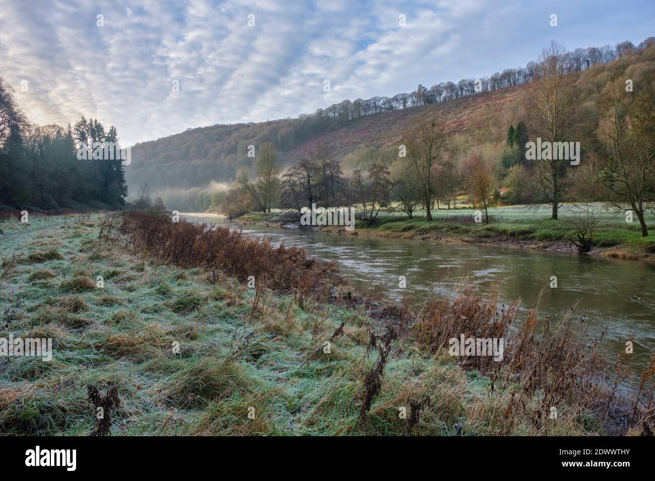 Der Fluss Wye bei Brockweir. Stockfoto