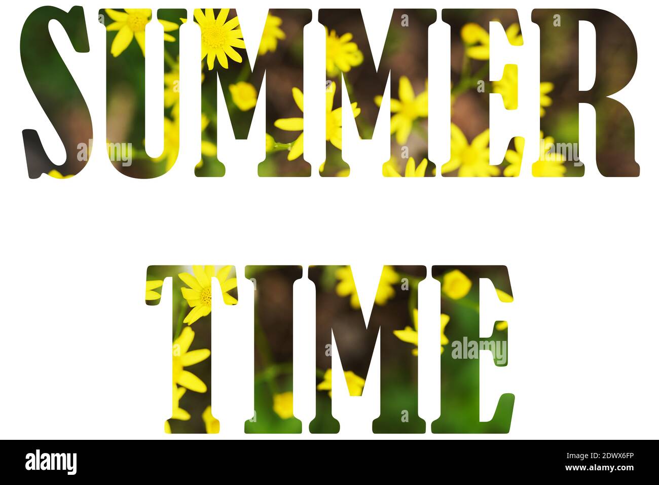 Blume Schrift Alphabet SOMMERZEIT gemacht von Real Alive gelben Blumen Hintergrund. Konzept der Blüte, Sommer Stockfoto