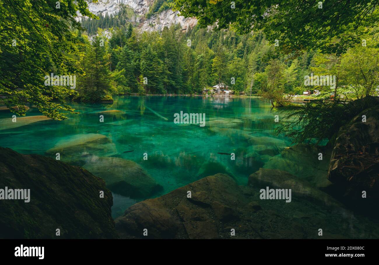 Blaues Wasser im Blausee Schweiz mit grünen Bäumen im Hintergrund und  Fischen im Wasser, mystisch episch, selten, einzigartig, blau, grün, schön  Stockfotografie - Alamy