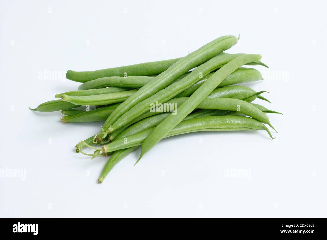 Phaseolus vulgaris 'Mamba' französische Kletterbohne. Grüne Bohnen isoliert auf weißem Hintergrund. VEREINIGTES KÖNIGREICH Stockfoto