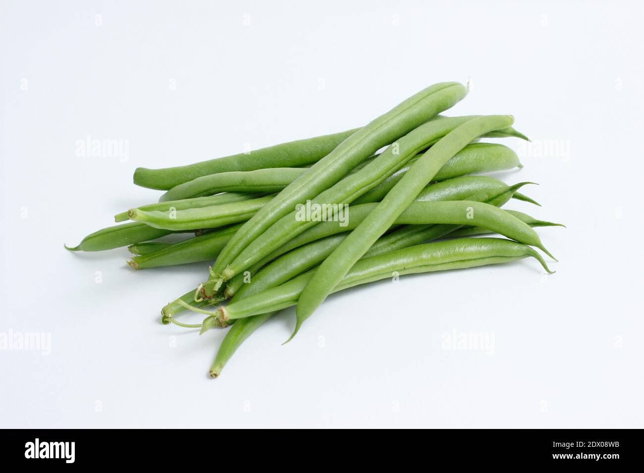 Phaseolus vulgaris 'Mamba' französische Kletterbohne. Grüne Bohnen isoliert auf weißem Hintergrund. VEREINIGTES KÖNIGREICH Stockfoto