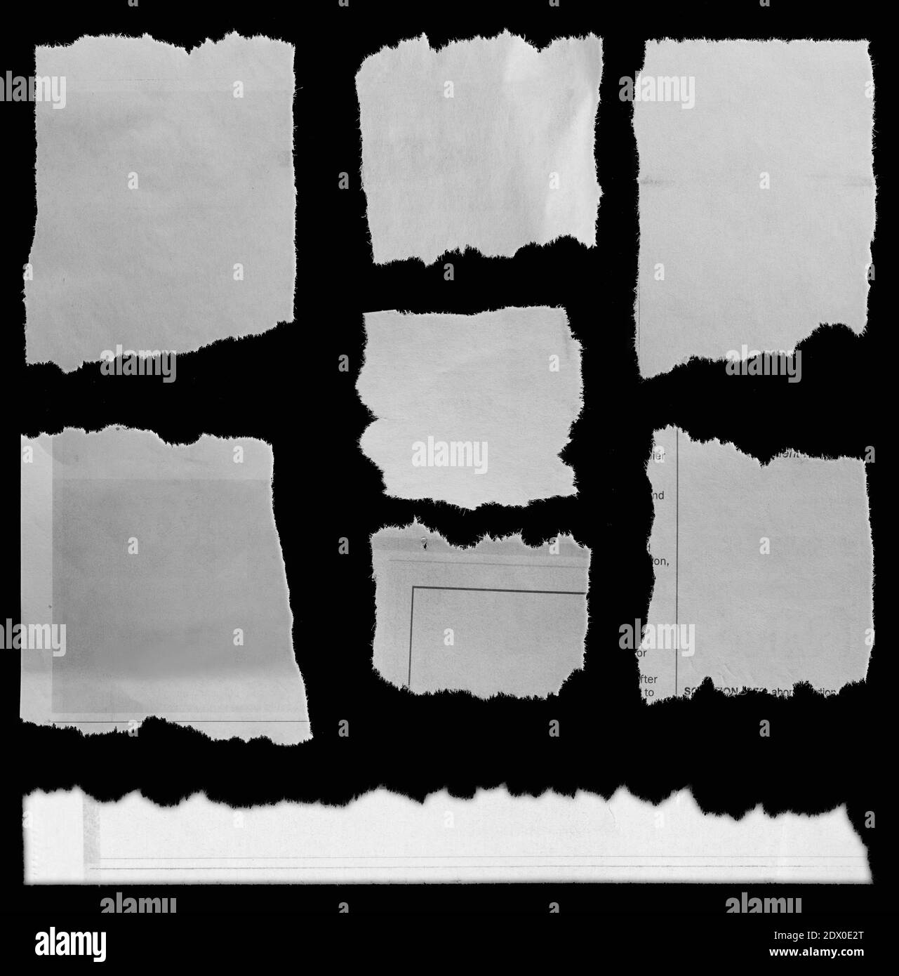 Acht Stücke zerrissenen Zeitung auf schwarzem Hintergrund Stockfoto