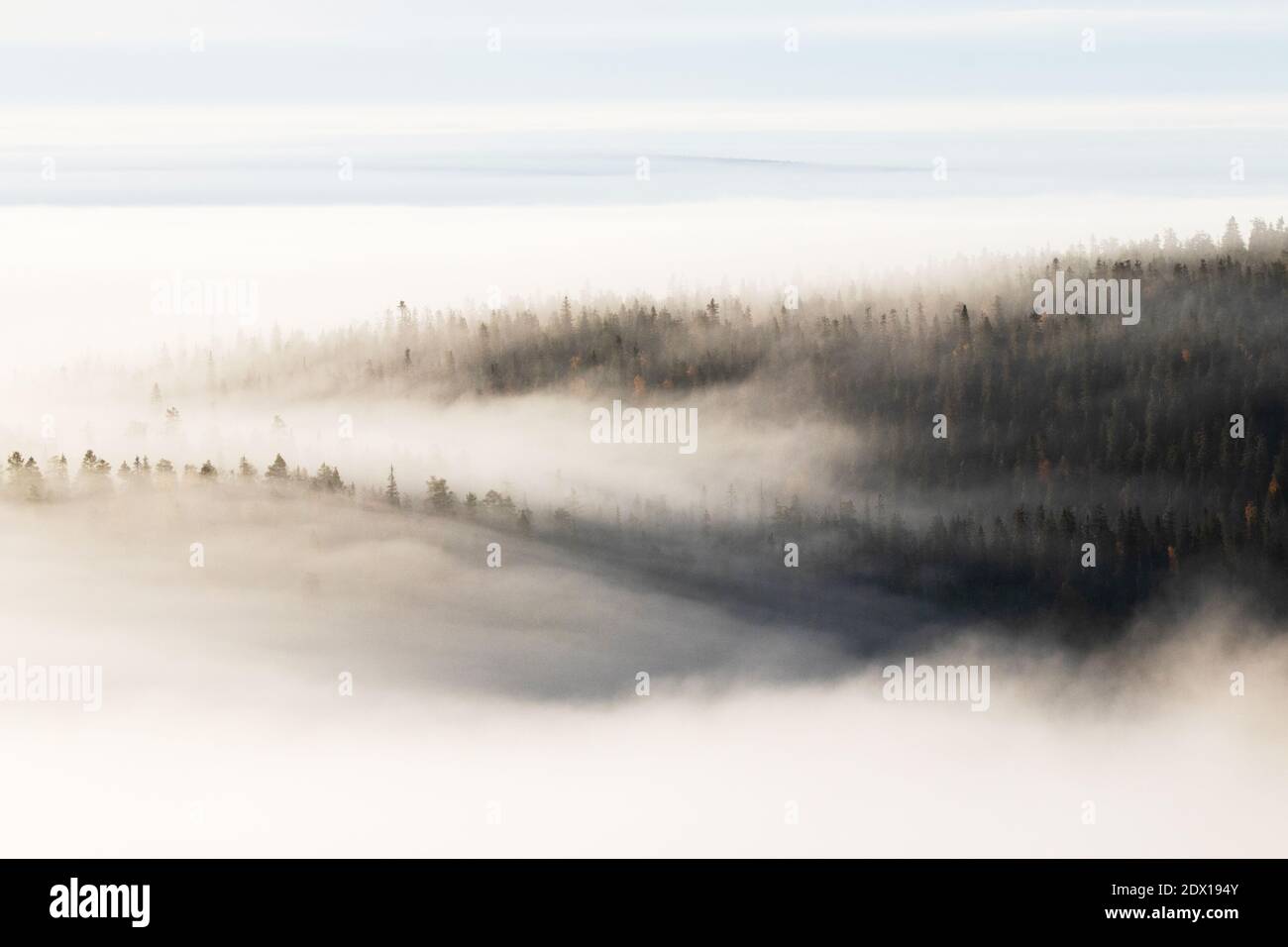 Große Fjälls im Nebel während eines Morgens in Nordfinnland im Herbst. Stockfoto