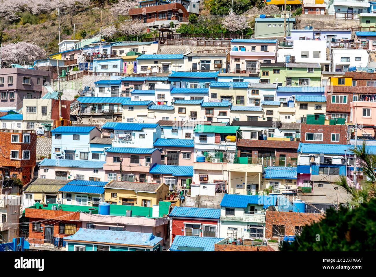 Gamcheon Culture Village, Busan, Südkorea. Stockfoto