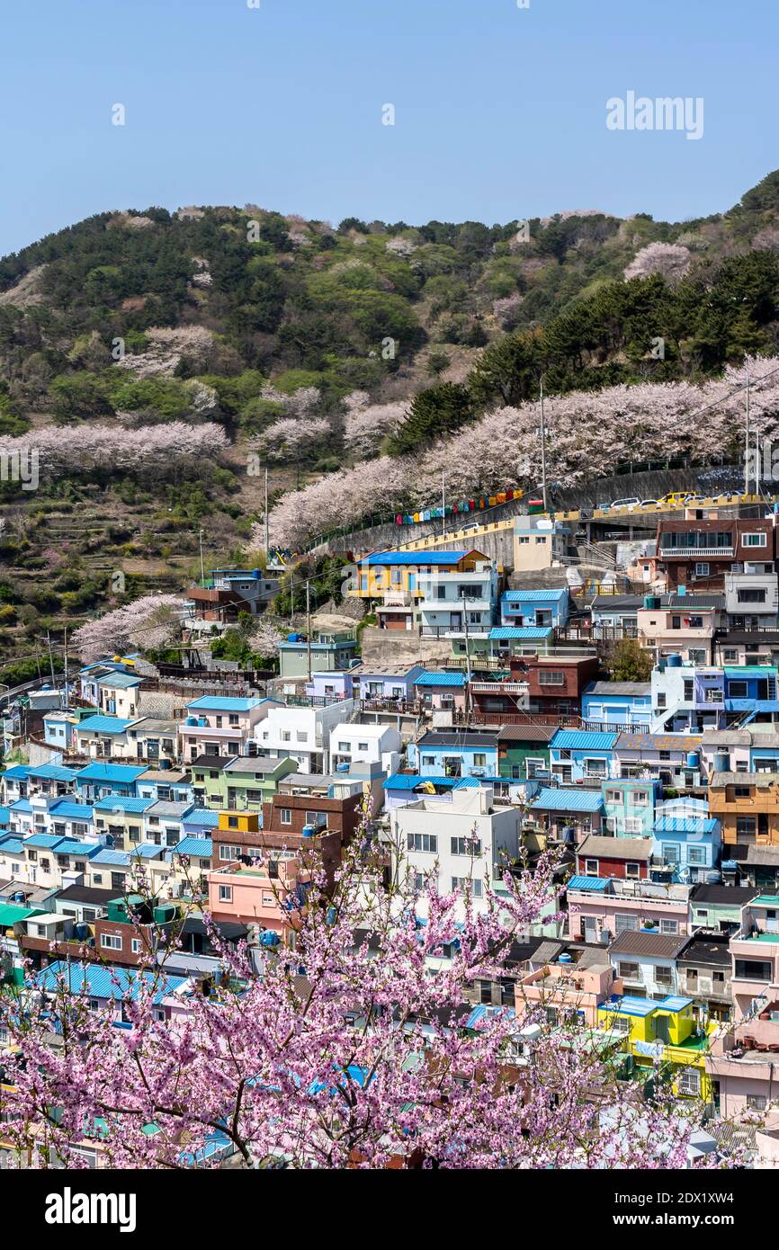 Gamcheon Culture Village, Busan, Südkorea. Stockfoto