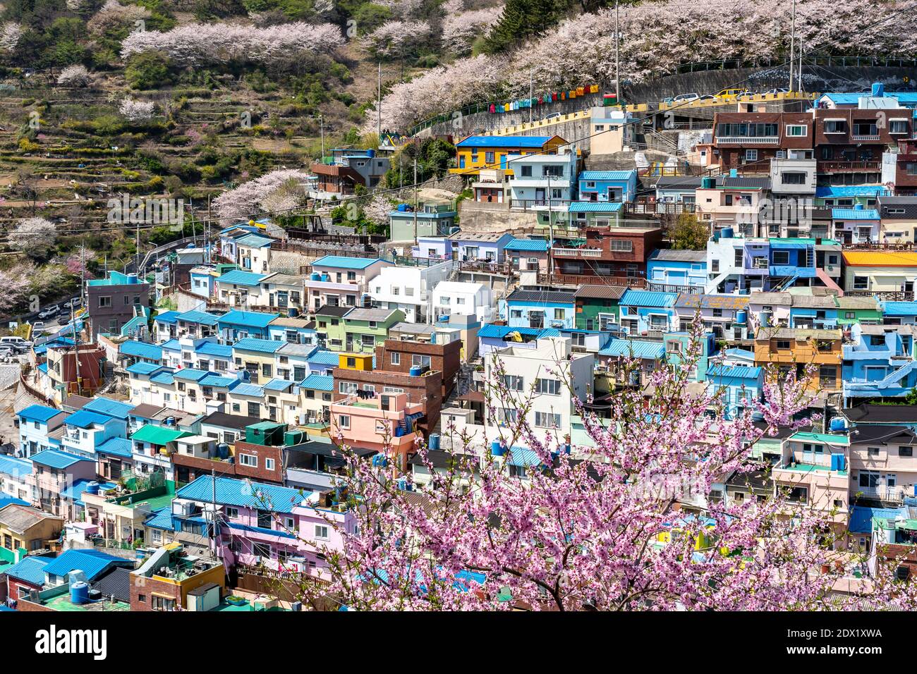 Gamcheon Culture Village, Busan, Südkorea. Stockfoto