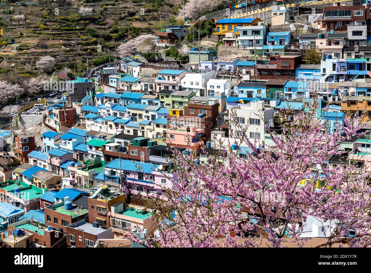 Gamcheon Culture Village, Busan, Südkorea. Stockfoto