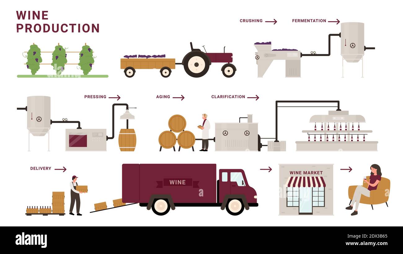 Weinherstellung Prozessstufen Infografik Vektor Illustration. Cartoon moderne Weingut Fabrik Linie Verarbeitung von Trauben, Zerkleinerung, Gärung und Alterung, Lieferung an Kunden Verkostung Alkohol Getränk Stock Vektor