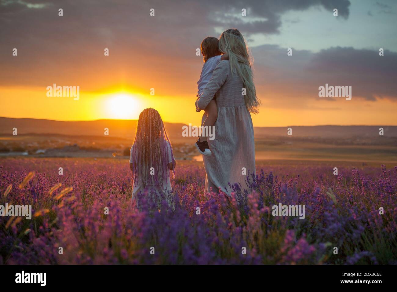 Eine junge Mutter mit zwei Kindern, die das Outgoing betrachten Sonne in einem Lavendelfeld Stockfoto