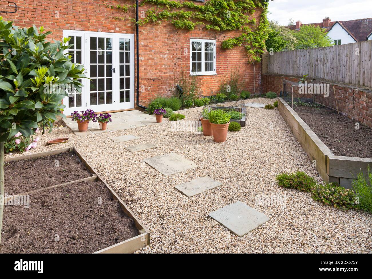 UK Garten im Frühjahr mit leeren Gemüsebetten. Viktorianischer Garten im Innenhof mit Kies und York Steinpflaster Stockfoto