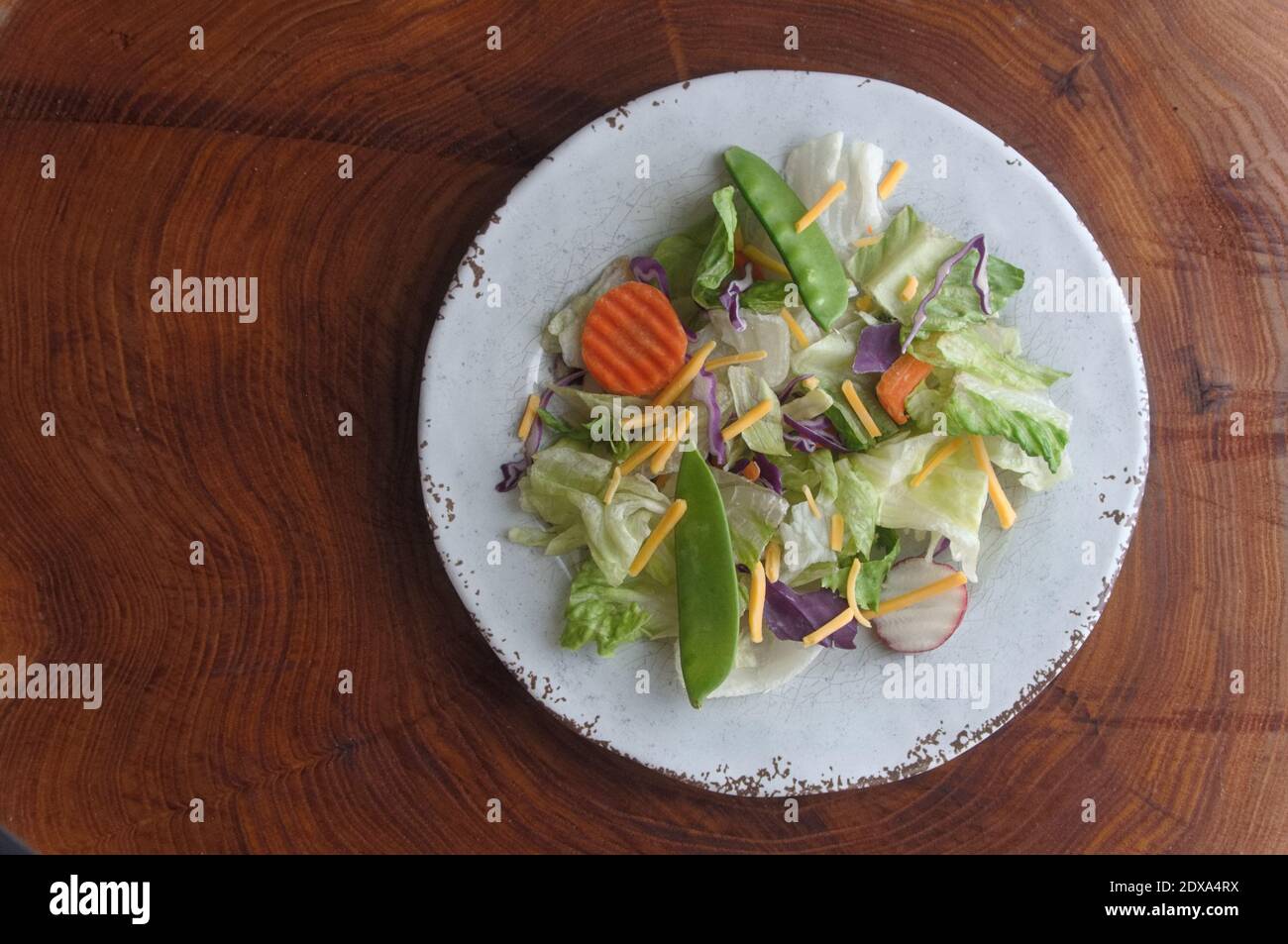 Ein gemischter Salat auf einem runden weißen Teller in der Mitte der Baumringe, auf einem Querschnitt eines Baumstammes Stockfoto