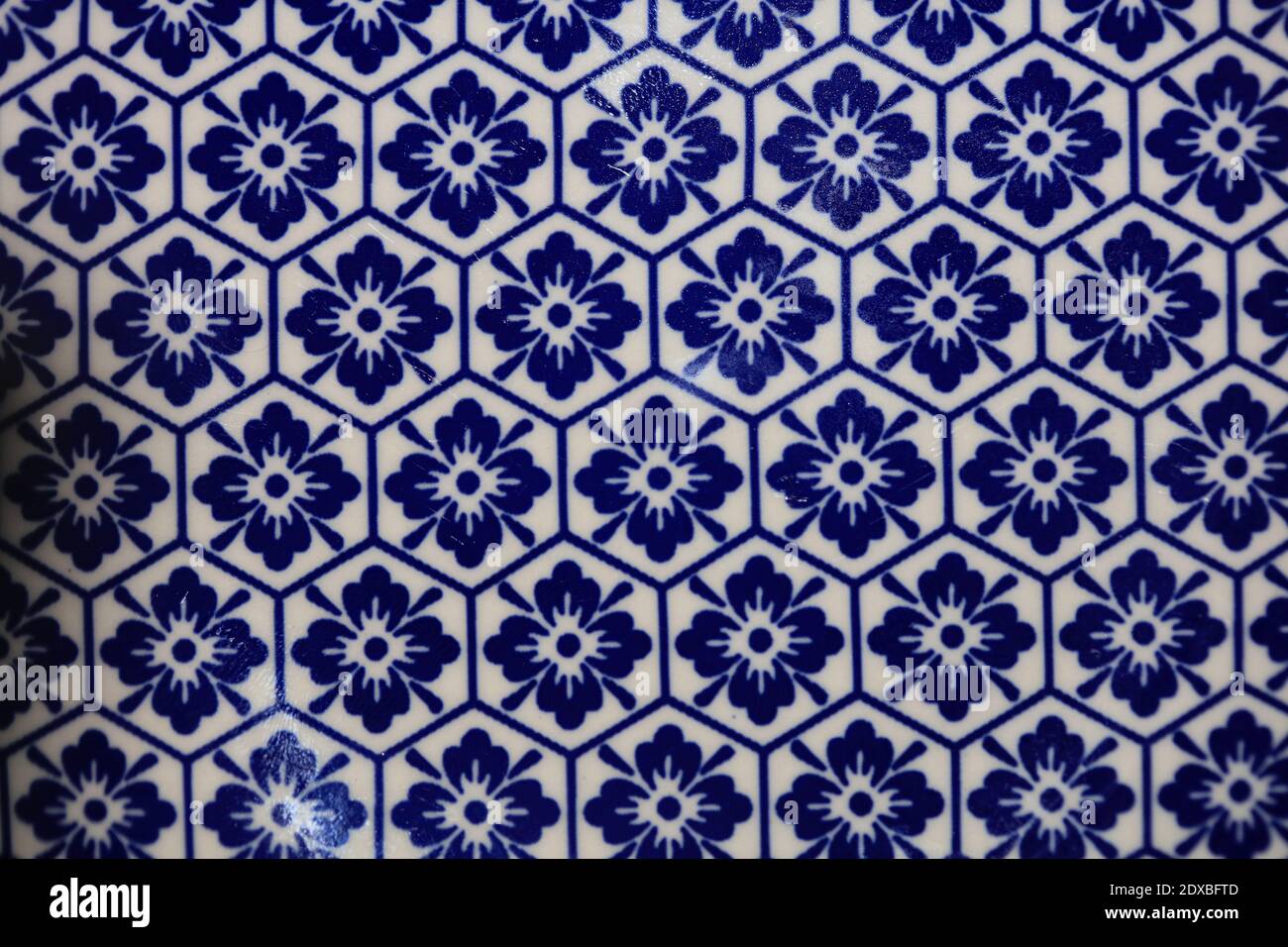 Blau und weiß Blumen Muster Makro Hintergrund fünfzig Megapixel druckt Stockfoto