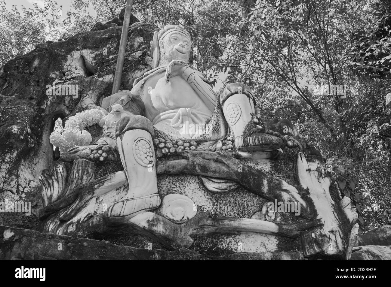 Phayao, Thailand - Nov 29, 2020: Low Angle Black and White Marble Sun Wukong oder Affenkönig Statue auf Stein und Baton mit Waldhintergrund Stockfoto