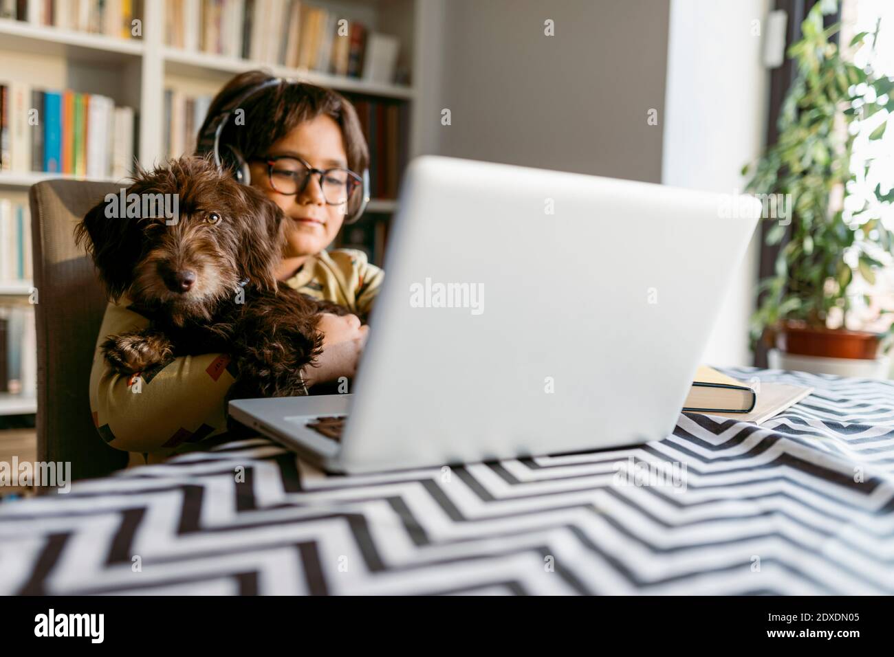 Junge hält Haustier Hund während e-Learning durch Laptop zu Hause Stockfoto