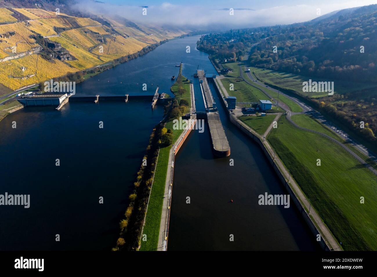 Luftaufnahme, Deutschland, Rheinland-Pfalz, Zeltingen - Rachtig, Mosel, Weinberge im Herbst Stockfoto