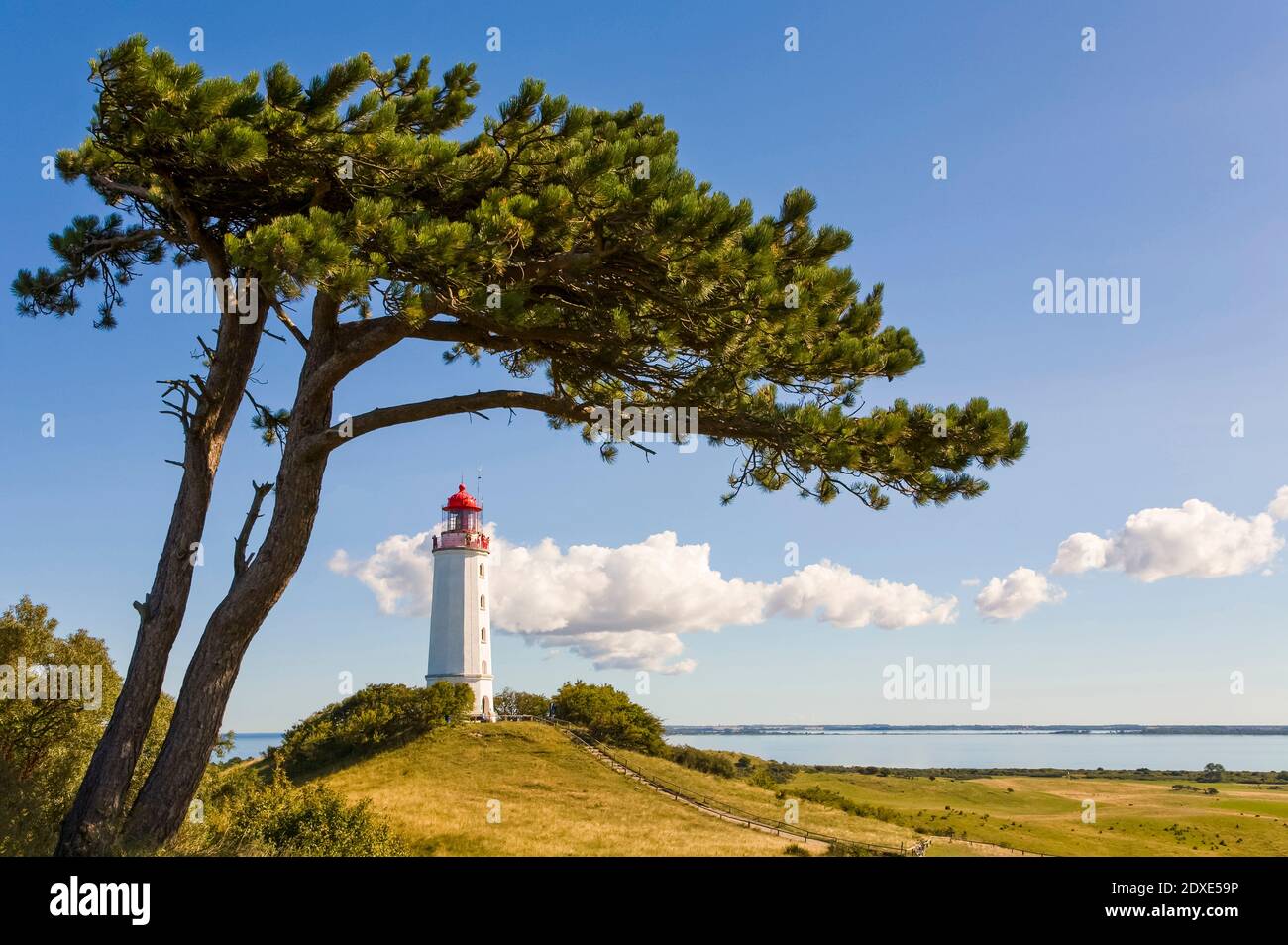 Deutschland, Mecklenburg-Vorpommern, Dornbusch Leuchtturm an der Küste der Insel Hiddensee Stockfoto