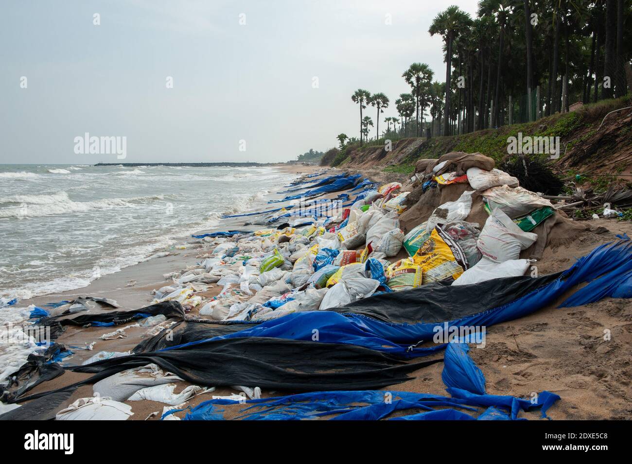 AUROVILLE, INDIEN - Dezember 2020: Tag der Reinigung, um Plastik zu entfernen, die am Strand als Schutz gegen die Meereserosion zurückgelassen wurden Stockfoto