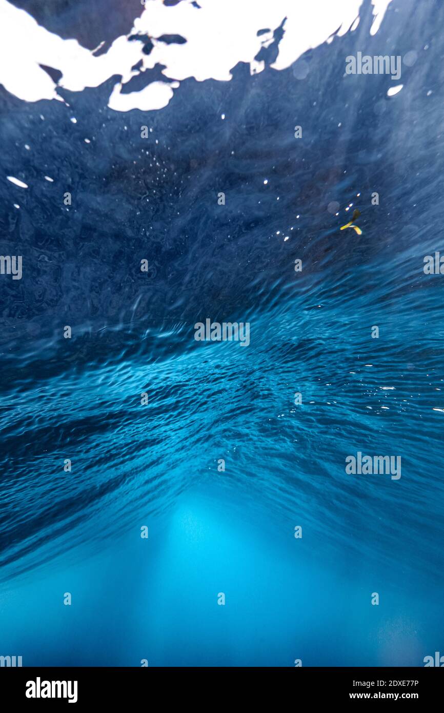 Unterwasseransicht des Arabischen Meeres Stockfoto