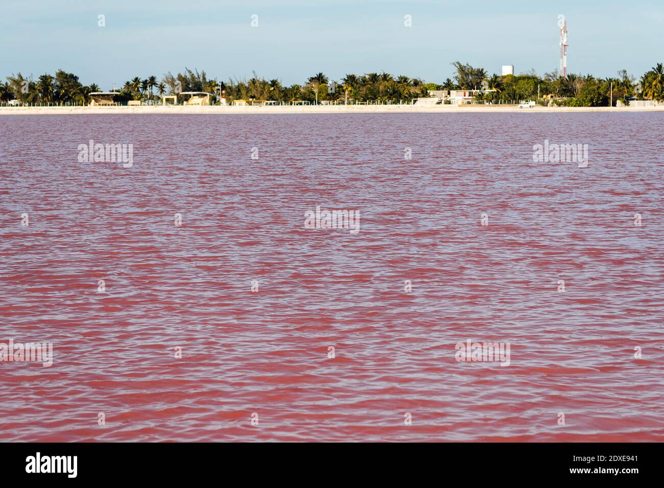 Mexiko, Yucatan, Las Coloradas, Ufer des Sees mit roter Kochsalzlösung Stockfoto