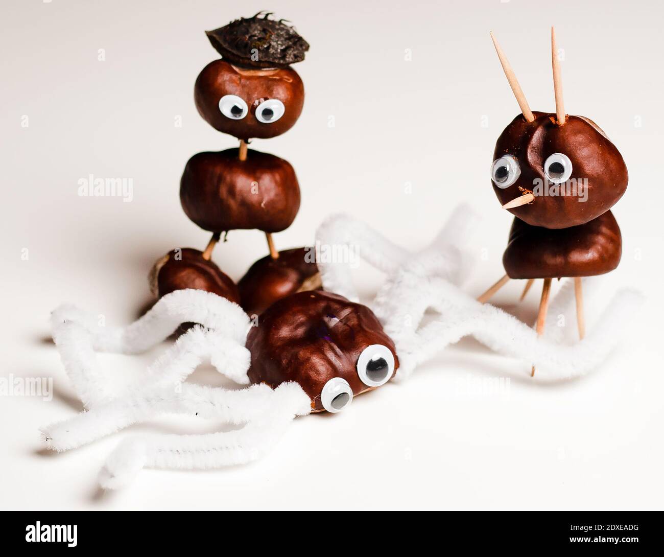 Nahaufnahme von Spielzeug mit Kastanien auf weißem Hintergrund  Stockfotografie - Alamy