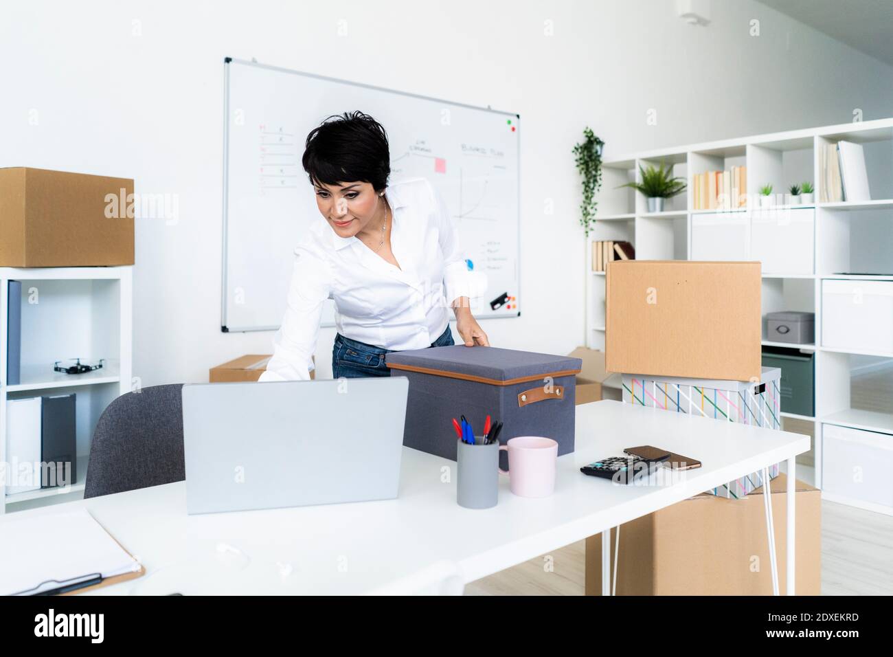 Geschäftsfrau Organisation Büro vor Umzug Stockfoto