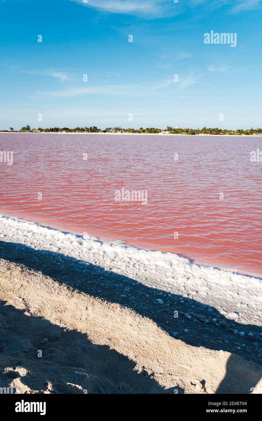 Mexiko, Yucatan, Las Coloradas, Ufer des Sees mit roter Kochsalzlösung Stockfoto