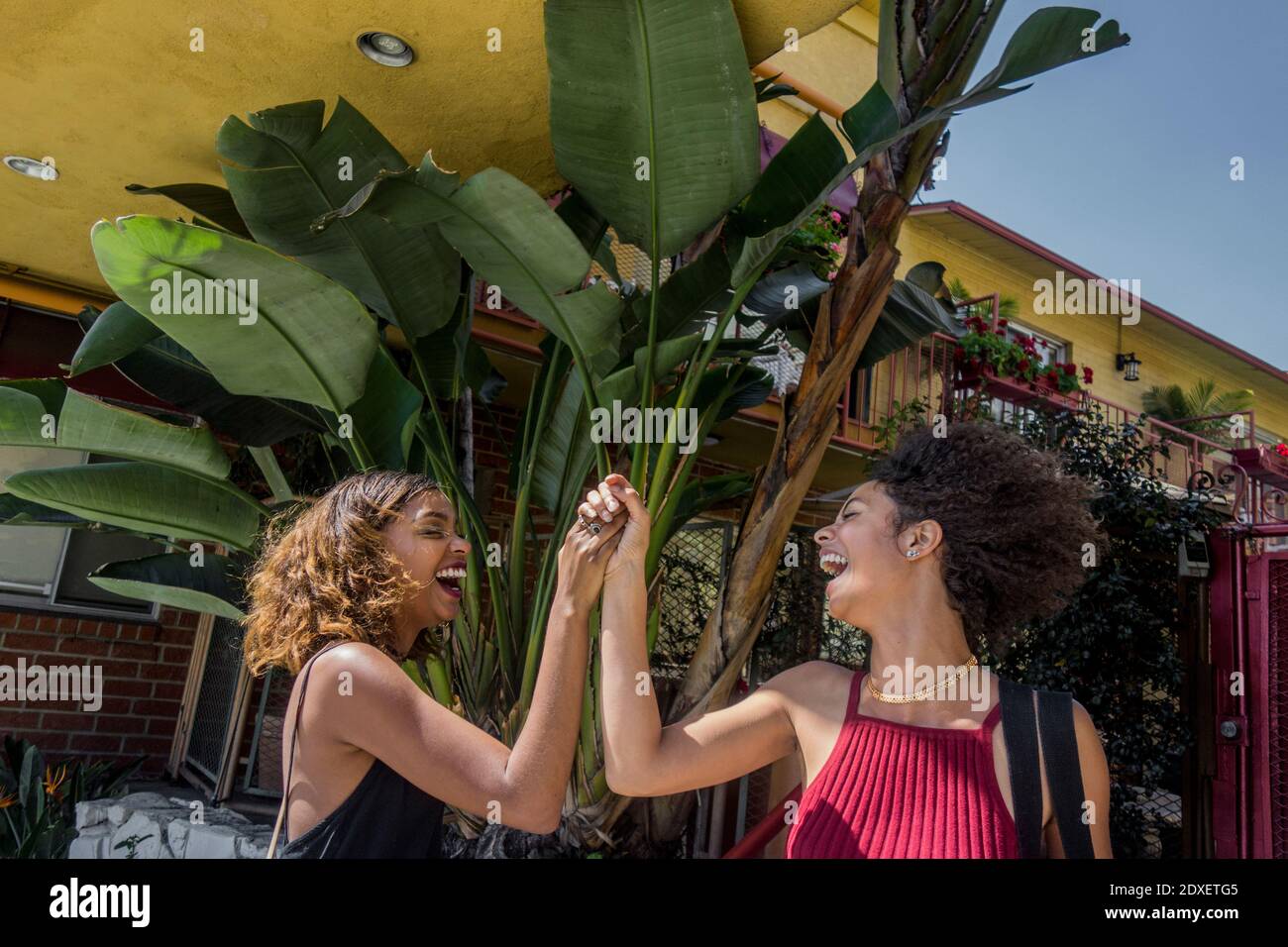 Fröhliche junge Frauen, die sich gegenseitig gegen Banane High-Five geben Baum Stockfoto