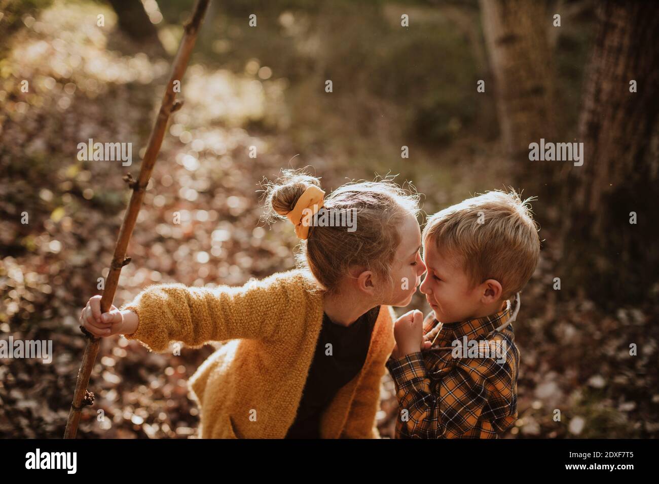 Schwester hält Stock beim Küssen Bruder im Wald Stockfoto