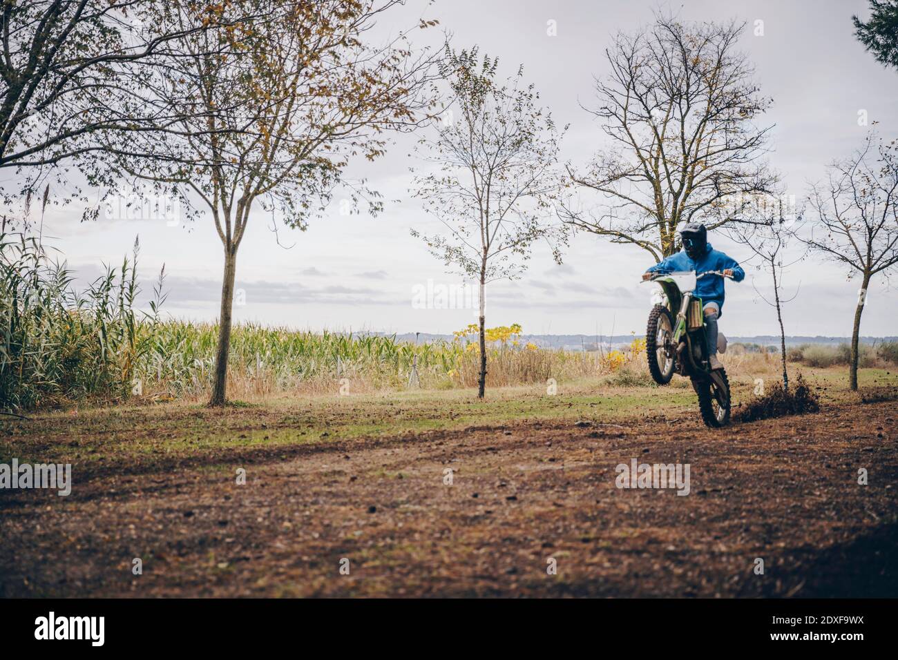 Männliche Teenager Biker Durchführung Wheelie Stunt im Wald im Herbst Stockfoto