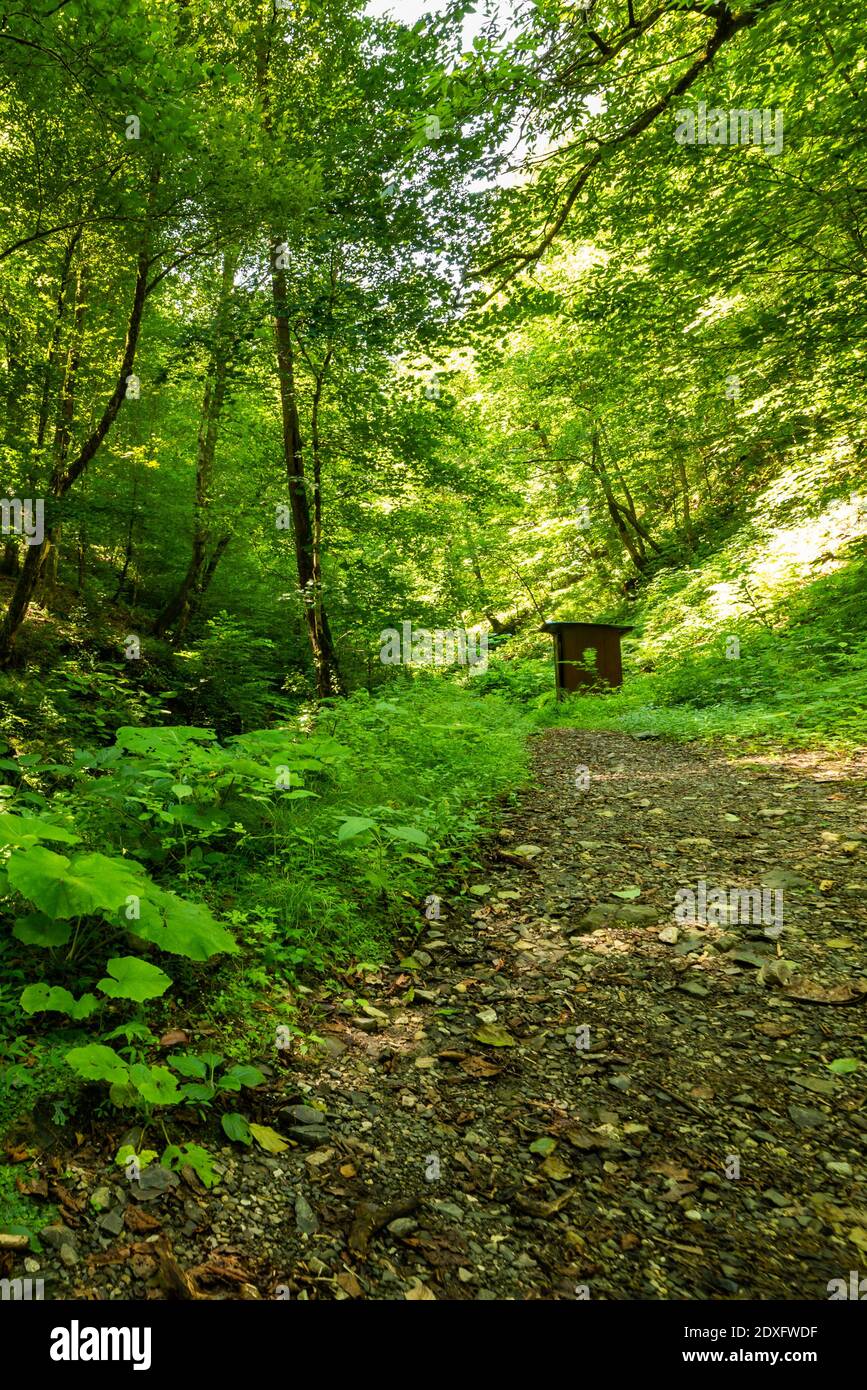 Außenanlage im Wald oder Nationalpark für Wanderer. Stockfoto
