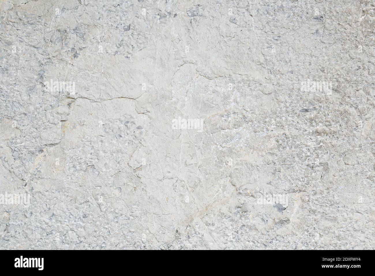 Ein Kalkstein. Baumaterial. Wissenschaft Geologie Stockfoto