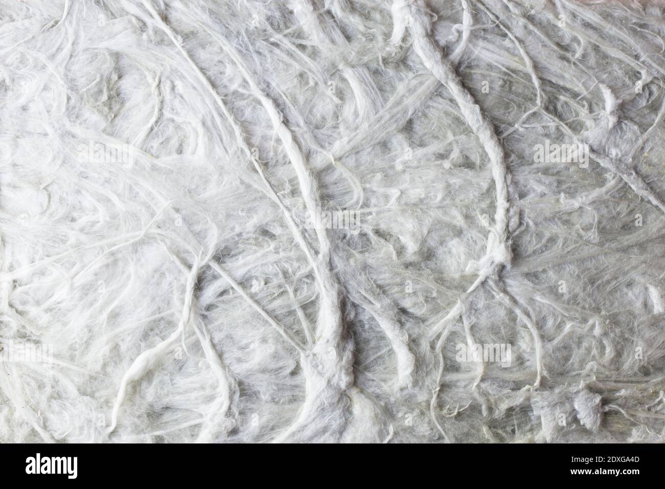 Ein Makro Foto Textur von flüssigen Tapeten. Die Faserstruktur ist auch ähnlich wie Mineralwolle Stockfoto