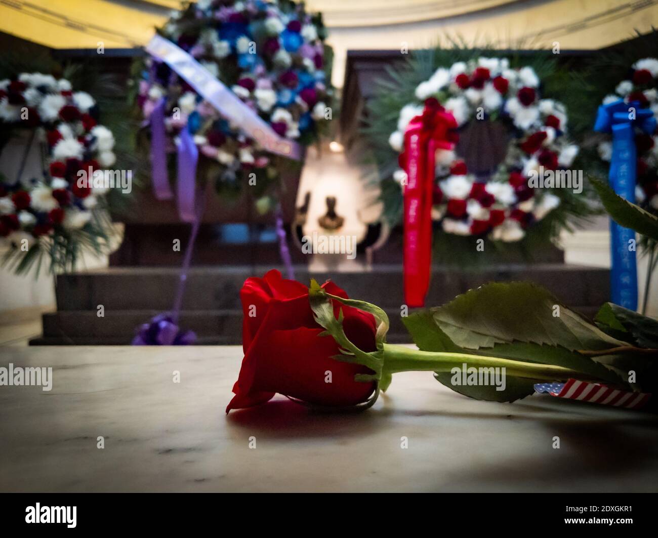 Rose mit Gräbern von Ulysses S. Grant und seiner Frau im Hintergrund am General Grant National Memorial Stockfoto