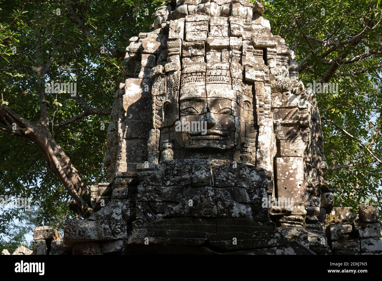 Großes Gesicht in die Wand des Ta Som Tempels geschnitzt Stockfoto