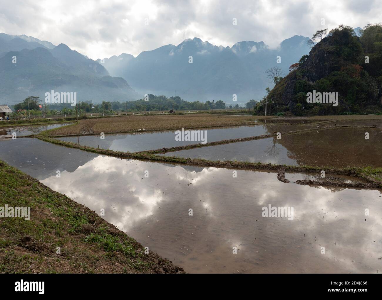 Die Spiegelung einer bergigen Landschaft vor einem überfluteten Reis paddy Stockfoto