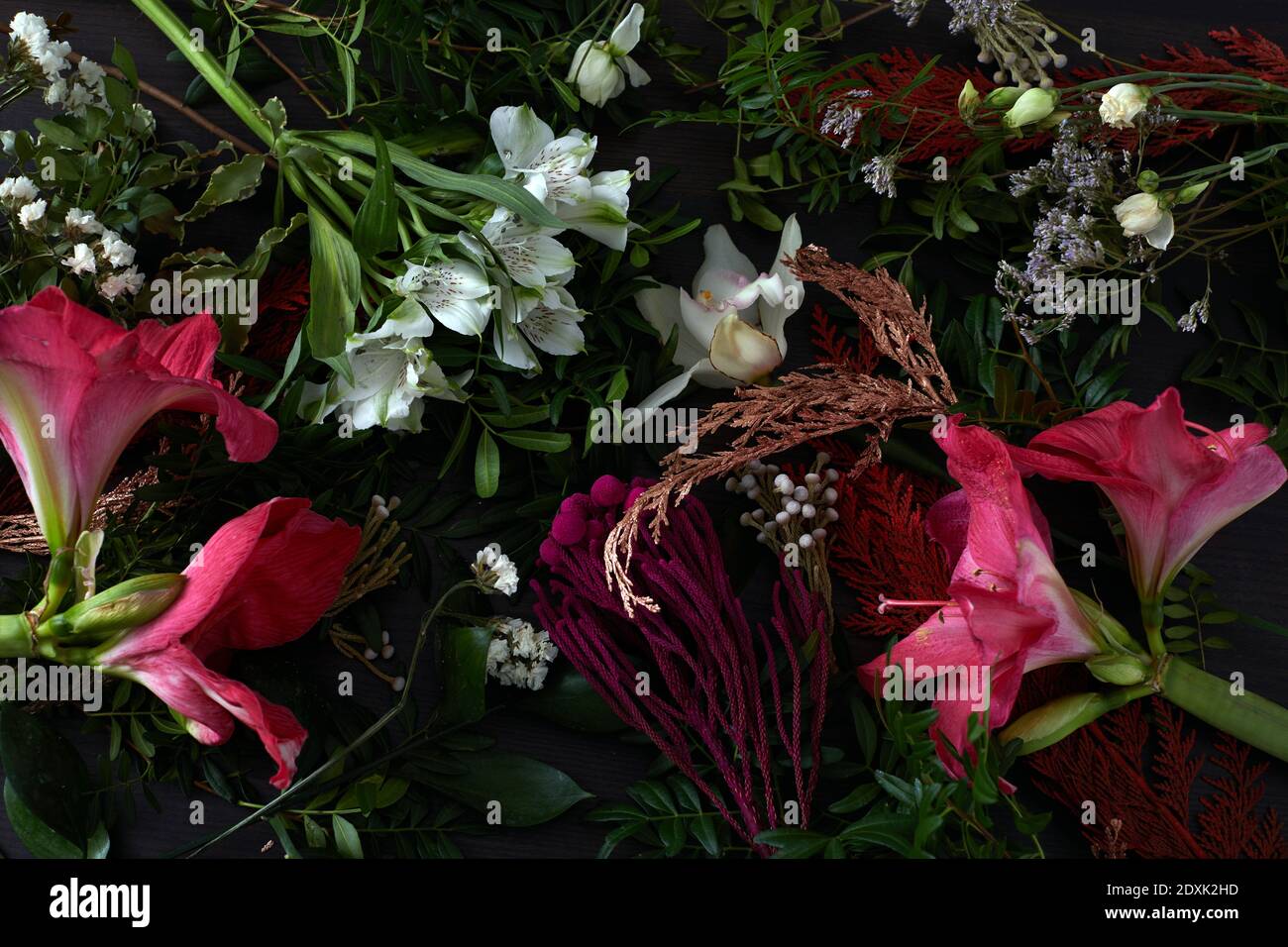 Kreatives Layout aus Blumen und Blättern. Flach liegend. Naturkonzept. Grußkarte mit Blumenmuster. Bunte Frühlingsblumen Hintergrund, Platz für Text. Natur Stockfoto