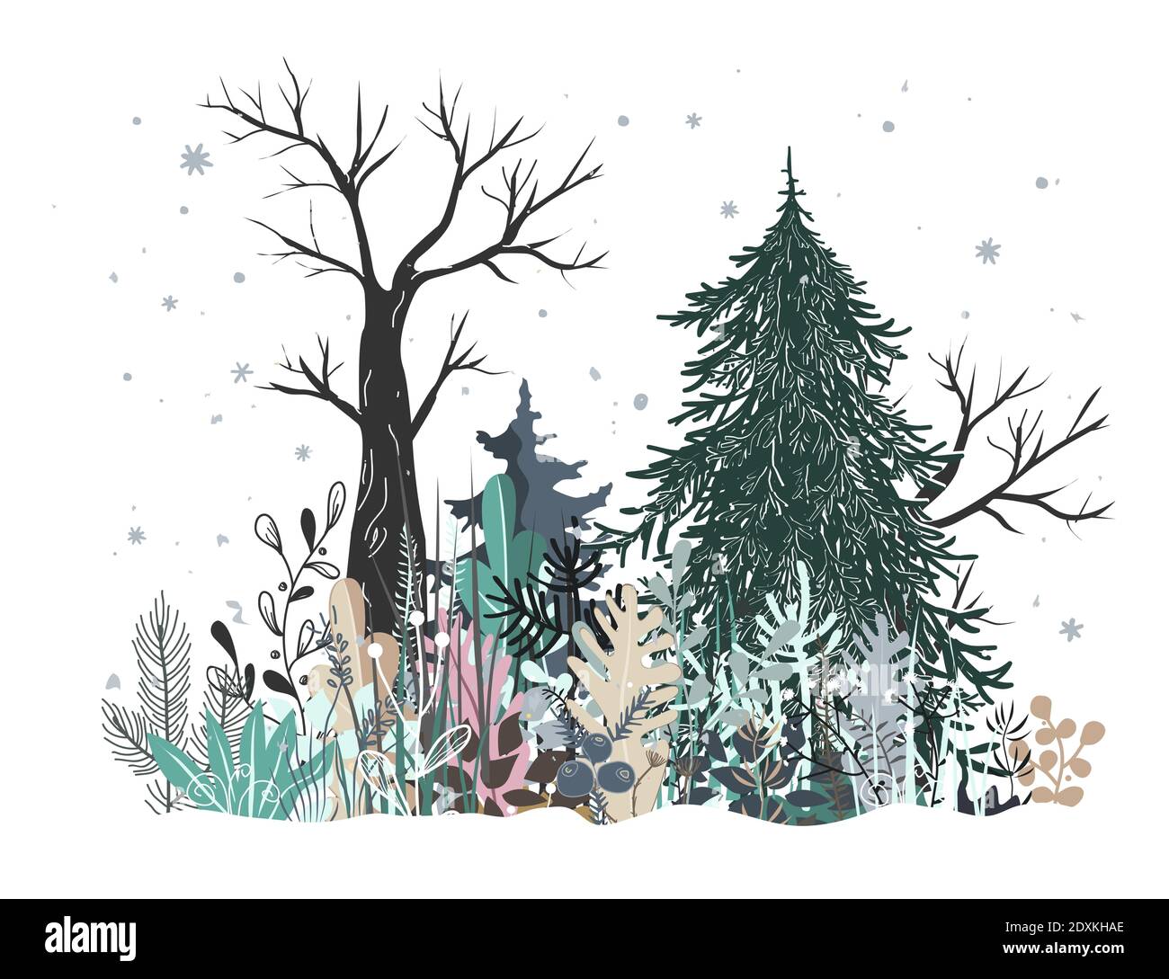Winterwaldlandschaft mit Kiefer, Tannenbaum und Gras. Vektorgrafik Stock Vektor