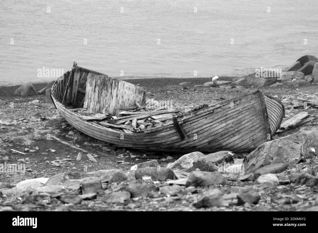 Altes whaler Wasserboot in der Antarktis Stockfoto