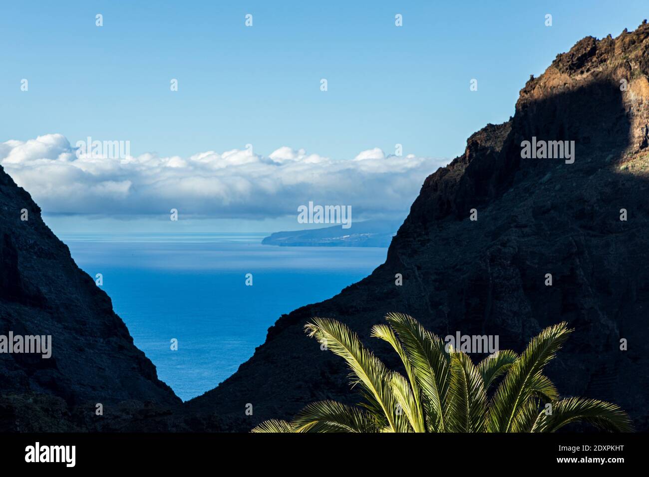 Abstrakter Blick durch die Schlucht, barranco, mit Licht trifft Palmblätter und V-förmigen Blick auf das Meer, Masca, Teneriffa, Kanarische Inseln, Spanien Stockfoto