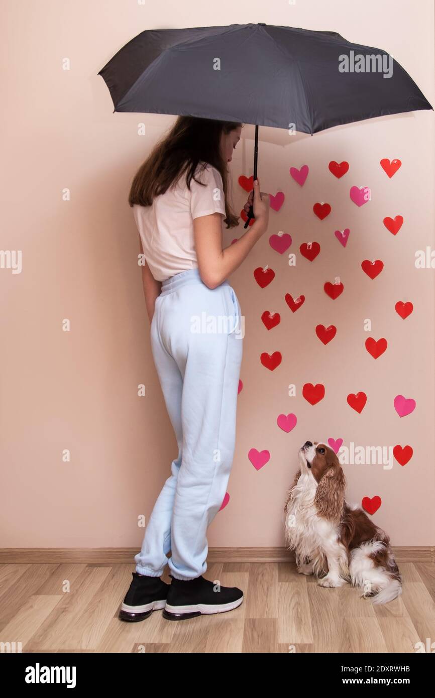 Junge Mode Frau Mädchen hält einen Regenschirm bewacht ihre Liebe aus dem Regen mit roten Herzen. Foto in vollem Wachstum, Hund Haustier Kavalier König charles span Stockfoto