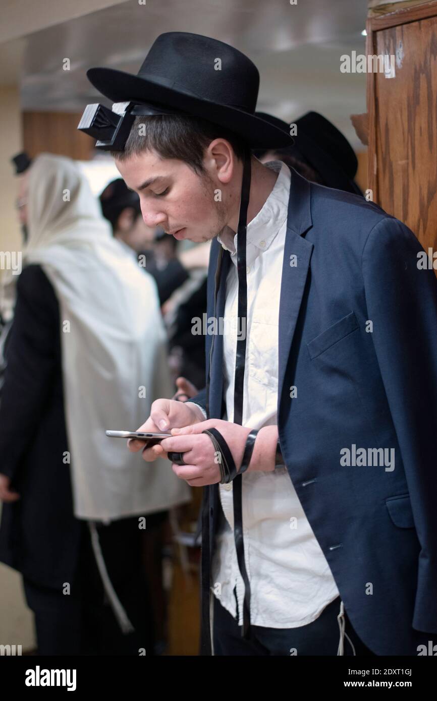 Ein orthodoxer jüdischer junger Mann beim Morgengebet verwendet sein Handy als Gebetsbuch. In Brooklyn, New York City. Stockfoto